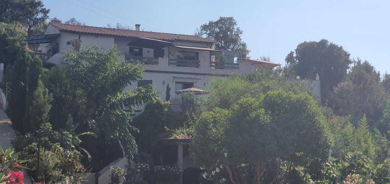 Appartement F2 Avec Terrasse De 35 M2 Bomorto - Porticcio Porticcio  Luaran gambar